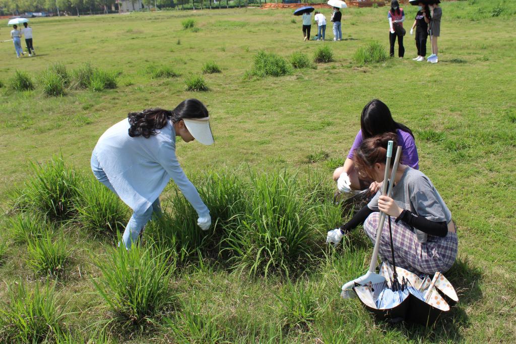 太阳网集团tcy8722