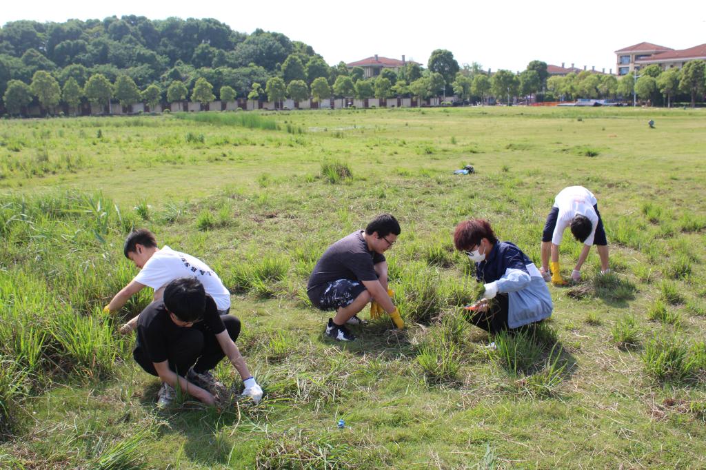 太阳网集团tcy8722